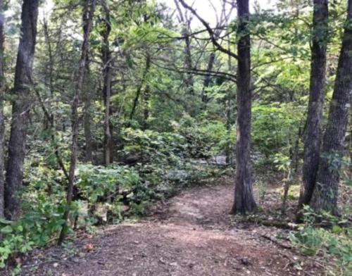 a dirt trail in the woods with trees at SPACIOUS FAMiLY HOME in Hollister