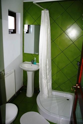 Ένα μπάνιο στο Cabana Valea Floreiului