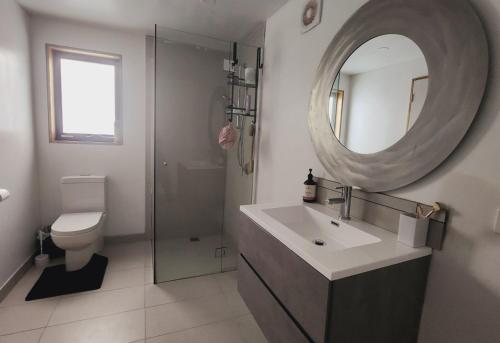 uma casa de banho com um lavatório, um espelho e um WC. em Primrose Seaside Healing Retreat em Primrose Sands