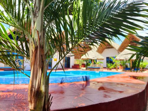 a palm tree in front of a swimming pool at Mkeka Spice Lodge Jambiani in Jambiani