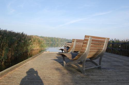 two benches sitting on a boardwalk next to a lake at Ferienwohnung Rheinsberg Altstadt in Rheinsberg