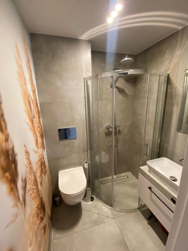 La salle de bains est pourvue d'une douche, de toilettes et d'un lavabo. dans l'établissement Apartament 20 Ula, à Ustroń