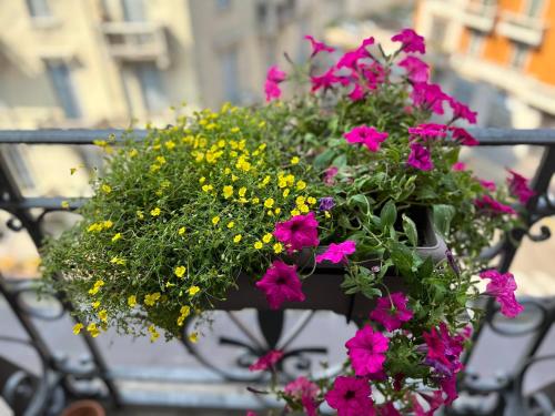 Easy Isola, for an easy stay photo 36