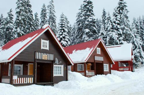 una cabaña en la nieve con árboles nevados en Alpine ski chalet Borovets with sauna, en Borovets