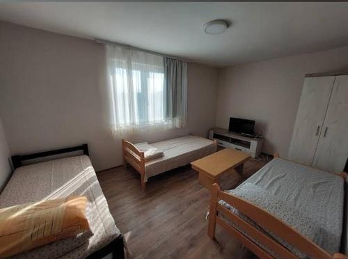 a room with two beds and a couch and a window at Seosko domacinstvo Nedic in Valjevo