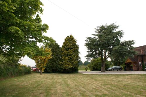 two trees in a field next to a house at B&B Dorwyn Manor in Avebury