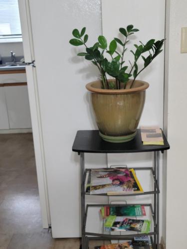a plant in a pot on a table with books at RJN in Fairbanks