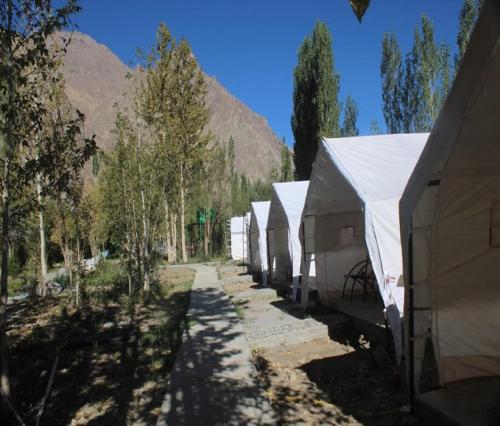 a row of tents in a field with a mountain at StayApart at Alpine Ibex Camp, Nubra Valley in Leh