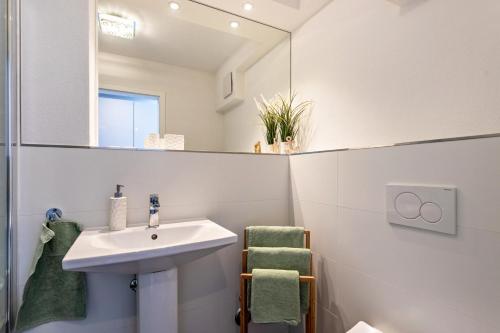 un baño con lavabo y espejo en Terralpin Apartments - 27qm, en Bruckmühl