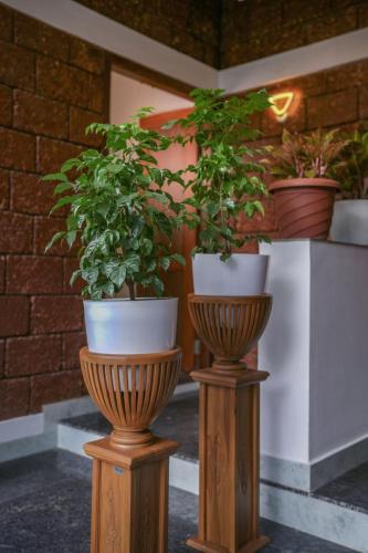two potted plants are sitting on wooden stands at Redstone Villa in Tāzhekkod