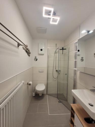 a bathroom with a shower and a toilet and a sink at Apartments an der Bühleiche in Plochingen