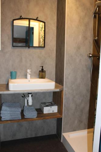 a bathroom with a sink and a mirror at De hooizolder Hofstay195 in Achterveld