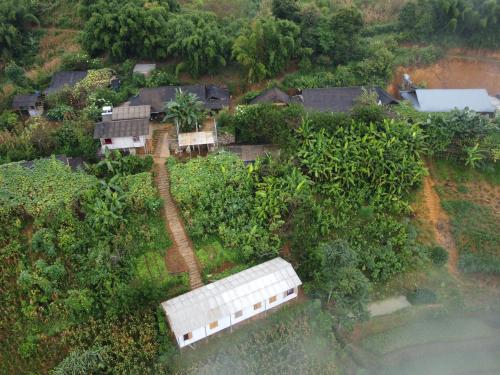 eine Luftansicht eines Hauses mit Bäumen in der Unterkunft Indigenous homestay- Trek- Food- Bus in Mù Cang Chải