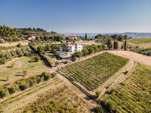 an aerial view of a vineyard with a house on a hill at Sole Verde green house in Terricciola