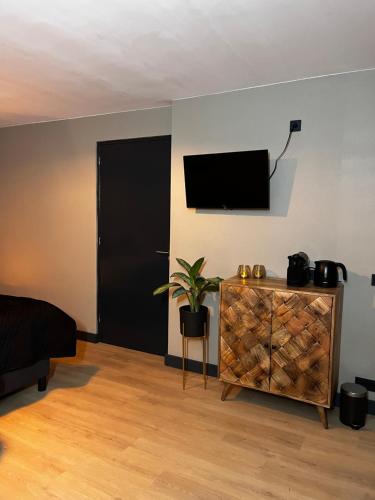 Bed and Breakfast De Beekhoek في Glane: غرفة فيها تلفزيون وخزانة عليها نبات