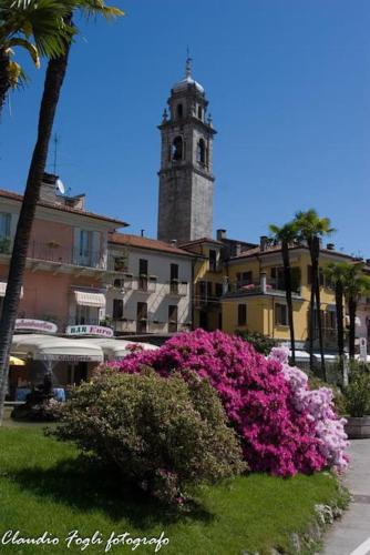 a city with a clock tower and pink flowers at Nido dei Gelsi vicino al lago free parking in Intra