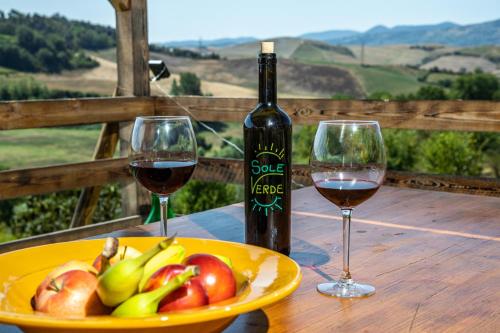 a table with two glasses of wine and a plate of fruit at Sole Verde green house in Terricciola