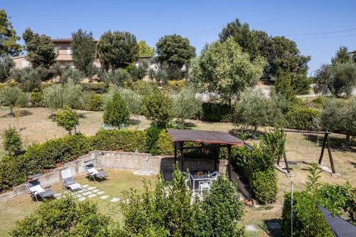 an aerial view of a garden with chairs and trees at Sole Verde green house in Terricciola
