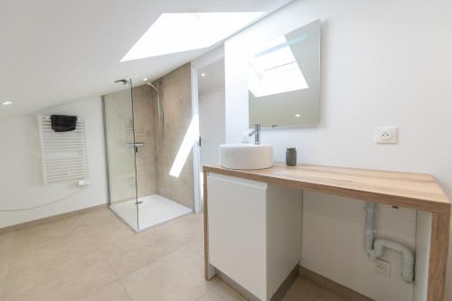 a bathroom with a sink and a shower at KASA NOVA - Tout équipé & CLIMATISATION in Saint-Chamond