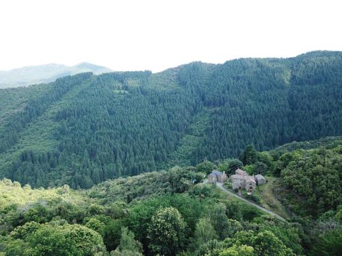 Domaine de la Mazière