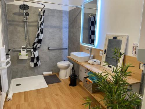 une salle de bain avec une douche, des toilettes et un lavabo dans l'établissement La Perle des Dunes - Vue imprenable Mer & Dunes, à Leffrinckoucke