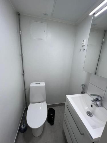 a white bathroom with a toilet and a sink at Kotimaailma - Kotoisa 3MH asunto Kontulassa in Helsinki