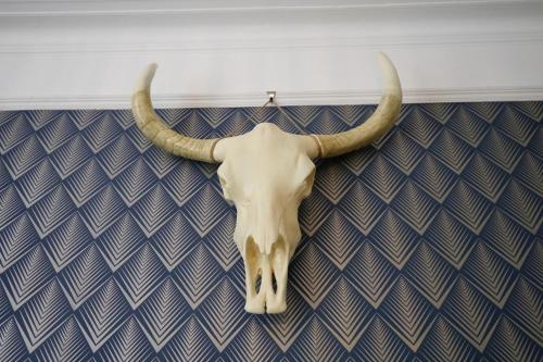 a skull of a bull with horns hanging on a wall at Quirky spacious ground floor Victorian garden flat in Worthing