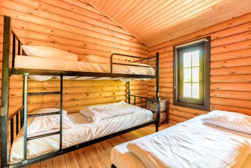 two bunk beds in a log cabin with a window at Recreatiepark de Voorst in Kraggenburg