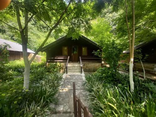 a house in the woods with a pathway leading to it at Blue Eye Villas in Sarandë