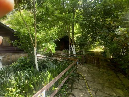 a garden with a bench and trees and a building at Blue Eye Villas in Sarandë