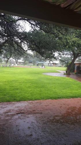 a view of a field of grass with a tree at Out Of Nature Country Lodge in Windhoek