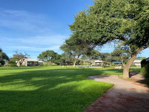 un parque con un árbol y un camino en Out Of Nature Country Lodge, en Windhoek