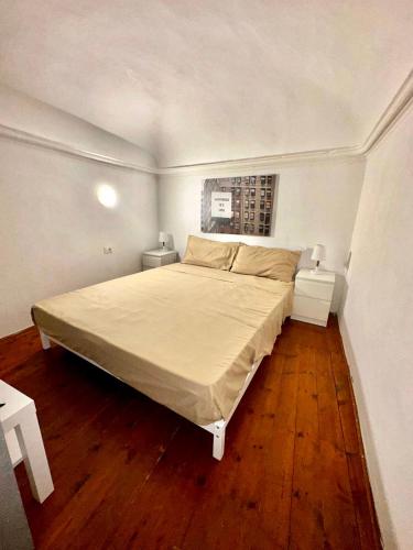 a bedroom with a large bed in a room at Casa San Massimo in Turin