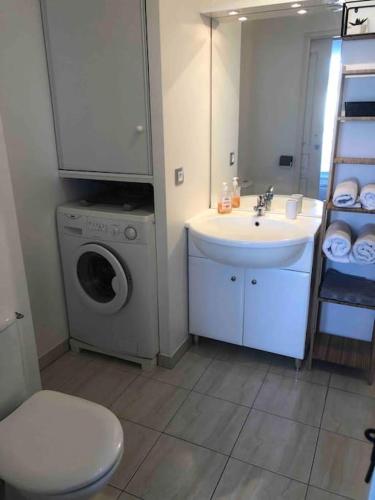 une salle de bain avec un lavabo et une machine à laver dans l'établissement Bel appartement proche gare et centre-ville, à Rambouillet