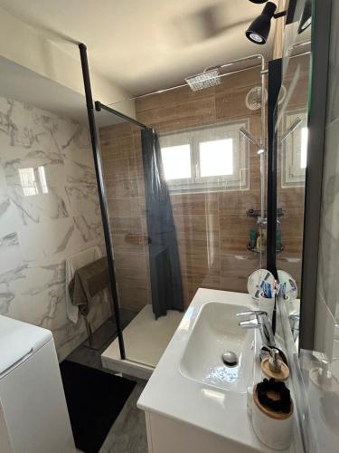 W łazience znajduje się umywalka i prysznic. w obiekcie Billère Appt T3 w mieście Billère