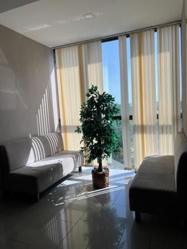 a living room with a couch and a potted plant at Elite Hotel in Bălţi
