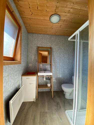 a bathroom with a toilet and a sink at ha jodi in Steige