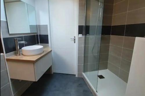 une salle de bain avec un lavabo et une douche dans l'établissement Appartement T3 centre ville Nîmes Climatisé, à Nîmes