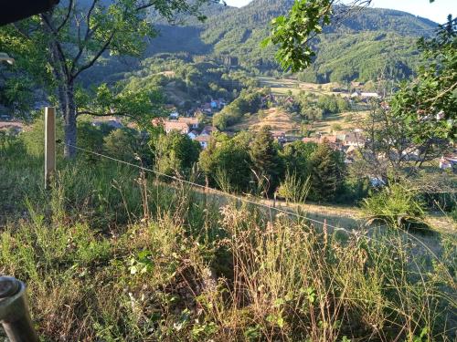 a view of a village from a hillside at ha jodi in Steige