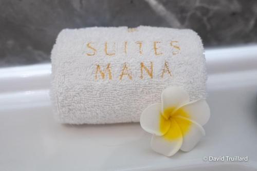 a white towel with a white flower on a sink at Suite Mana - Maui - Place Ducale in Charleville-Mézières