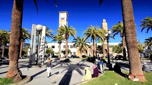 a group of people standing in a park with palm trees at oujda in Erfoud
