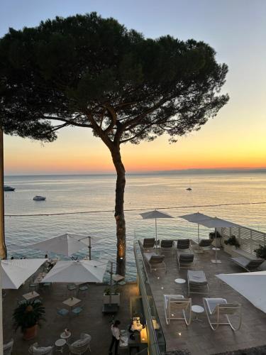 een uitzicht op een boom en de oceaan bij zonsondergang bij Notti magiche a Santa Margherita ligure in Santa Margherita Ligure