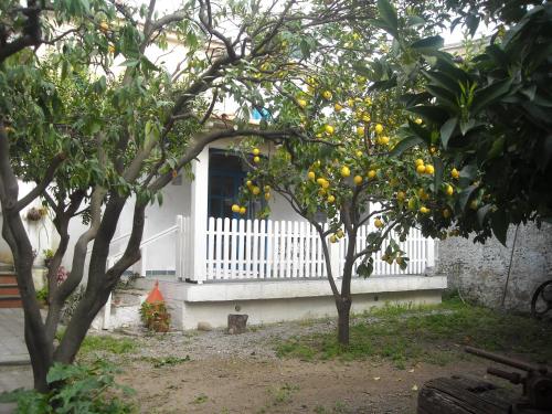 Taman di luar Gigia's House