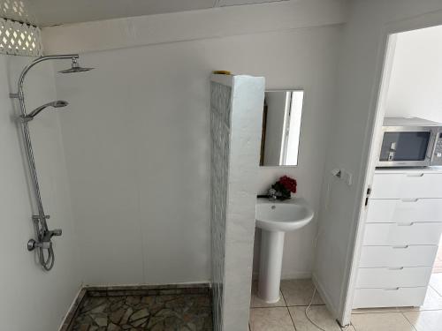 La salle de bains est pourvue d'une douche et d'un lavabo. dans l'établissement Sable blanc, à Punaauia