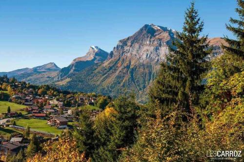 a small town in a valley with a mountain at Studio très lumineux 4 pers in Les Carroz d'Araches
