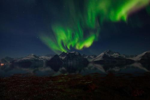 an image of the aurora in the sky over mountains at Lyngenfjord view in Engnes