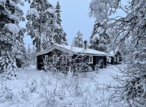 a cabin covered in snow in a forest at Rustik timmerstuga nära Tandådalens anläggningar in Gusjösätern