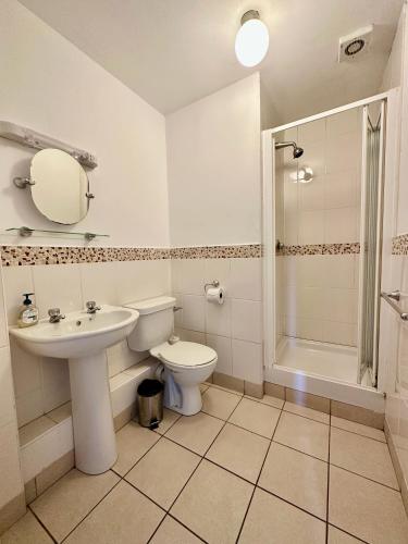 a bathroom with a sink and a toilet and a shower at Overlooking city centre apt in Waterford