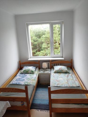 two beds in a room with a window at Mieszkanie Mrzeżyno/Rogowo in Rogowo