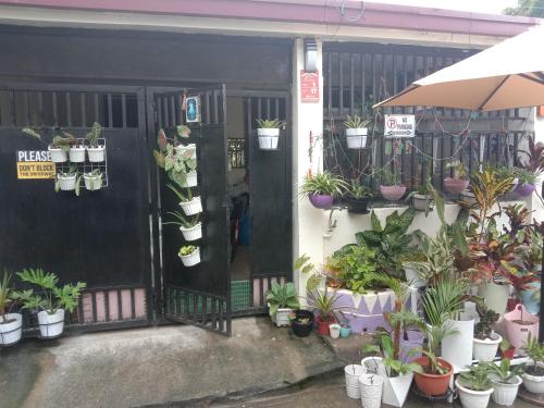 Un negozio con un mucchio di piante in vaso davanti a una porta. di homesweethome 